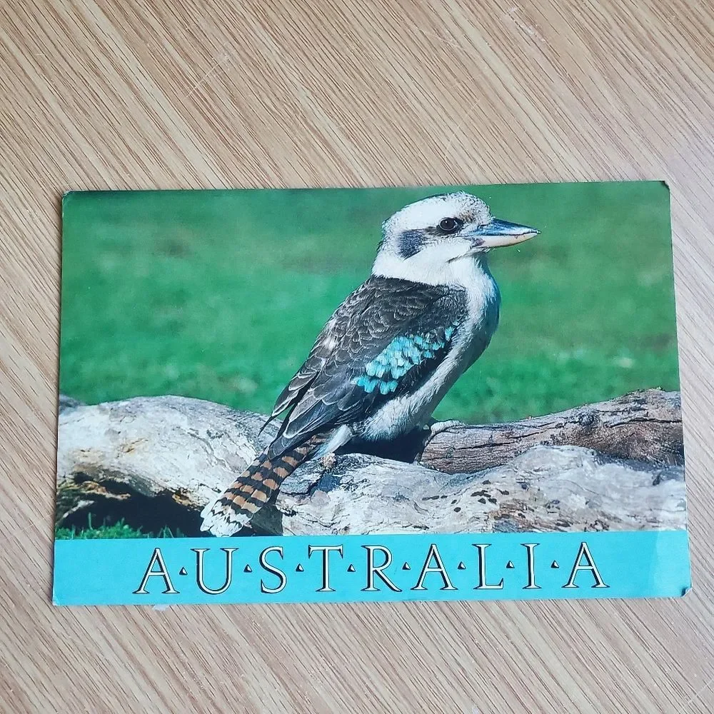 Vintage Australia Postcards‎ Kookaburra Daintree Rainforest Cassowary
